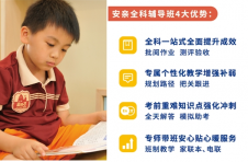 上海本地宝丨小学课辅班如何挑选？