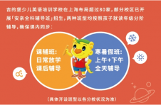 上海本地宝丨小学课辅班如何挑选？