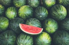 稀奇！秋天也产8424 甜度、水分不亚于盛夏西瓜