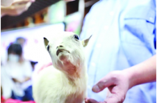 标本修好了！102岁教师获特殊礼物