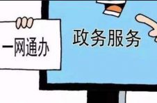 出生“一件事”在沪一网通办