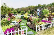 长三角技能人才同台竞技 助力乡村振兴 打造美丽家园