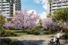 South of the city|城市向南而生，恰逢其时的美好