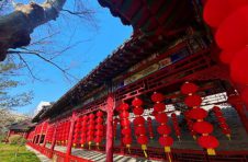 就地过年怎么玩？广富林文化遗址2021新春活动攻略已“上线”