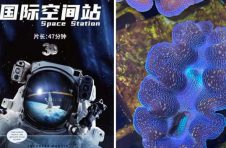 “五一”科普游：看巨幕电影《国际空间站》，赏“贝类之王”砗磲