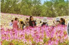 “十四五”上海公园将超千座，园林绿化行业的春天来了？