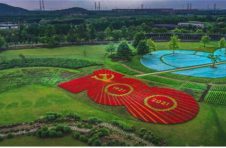 气势恢弘壮丽景观 1200平方米“百年华诞”巨型花坛震撼亮相