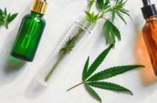 植物护肤盛行，昆药KPC携三七新品紧跟植物护肤新契机