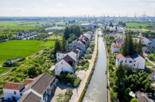 松江的乡村美到什么程度？快来浦南的曙光村找答案